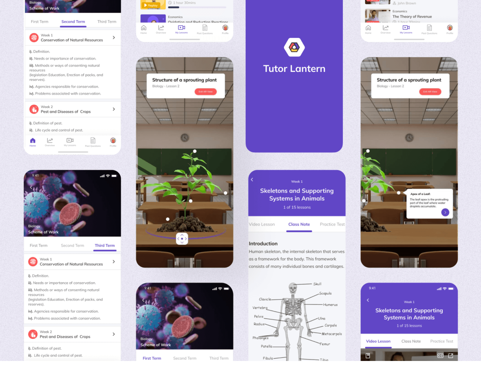 Tutor Lantern visual interface designs with learning resources and AR diagrams.